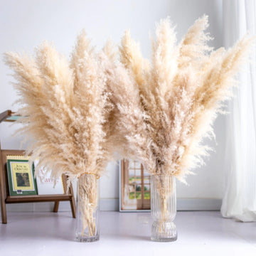 Tall Pampas Grass 10PCS Boho Decor Natural Home Decor Phragmites